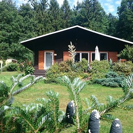 Chalet Harmonie Harzgerode Zewnętrze zdjęcie